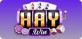 haywin logo