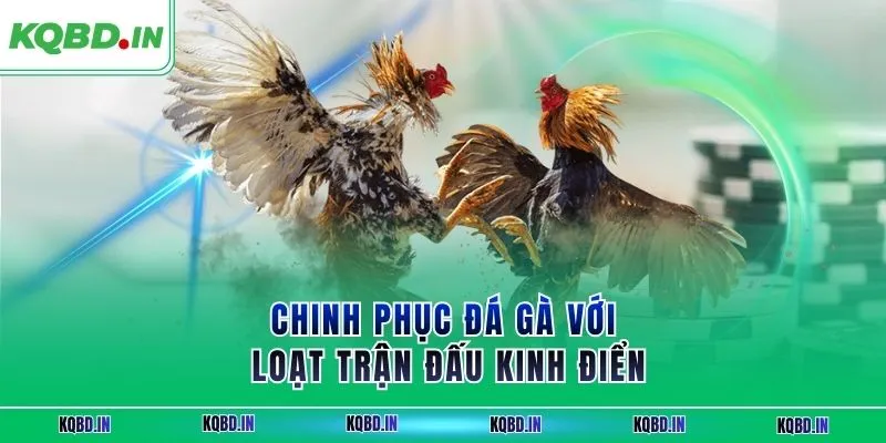 UK88 – Nhà Cái Uy Tín Với Hệ Sinh Thái Cá Cược Toàn Diện 4 Chinh phục đá gà với loạt trận đấu kinh điển