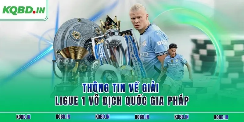 Ligue 1 25 Thông tin về giải Ligue 1 vô địch quốc gia Pháp