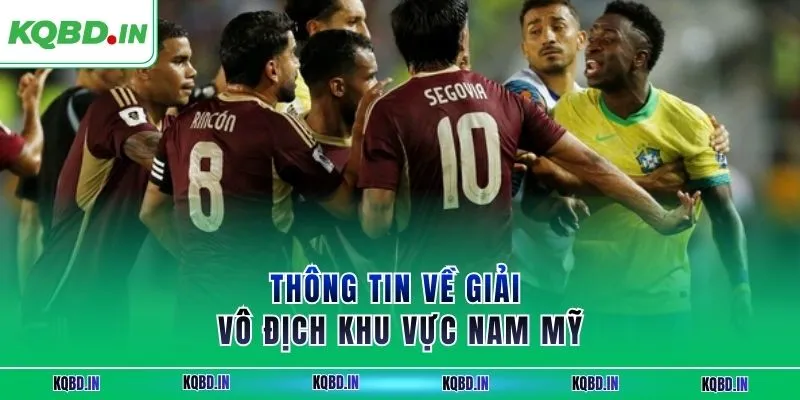 Vô Địch Nam Mỹ 25 Thông tin về giải vô địch khu vực Nam Mỹ